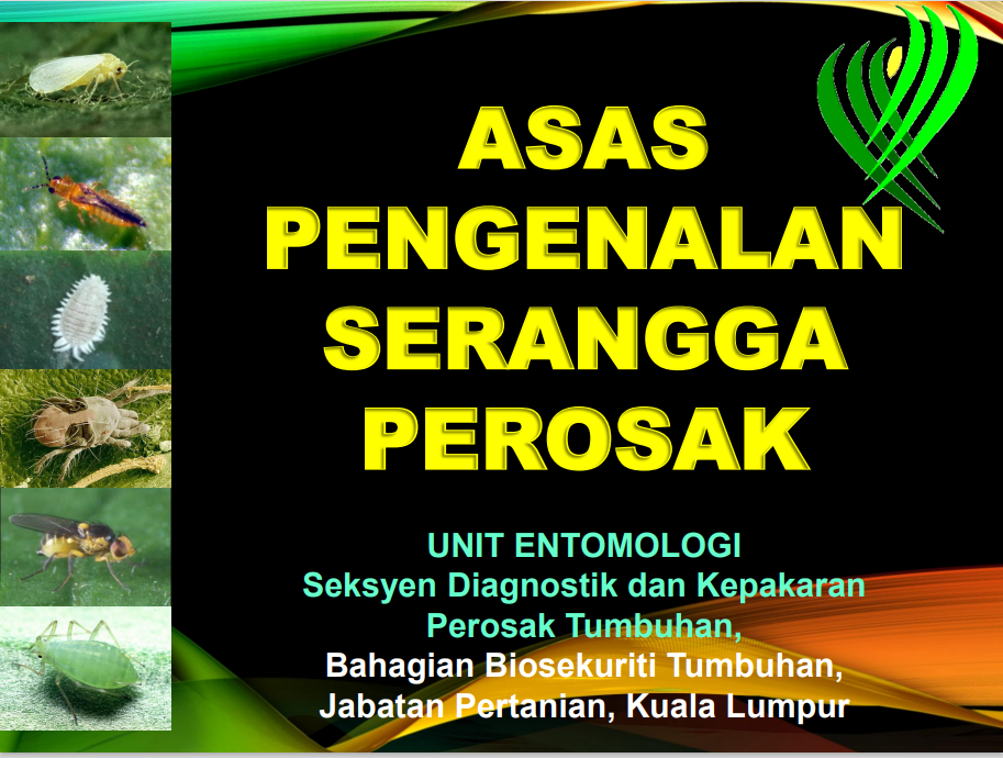 ASAS PENGENALAN SERANGGA PEROSAK