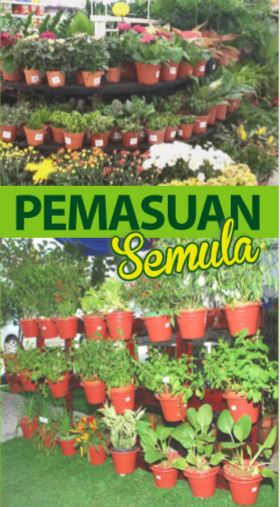 pemasuan semula